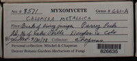 Image Associated With the Occurence